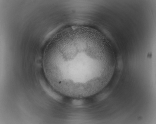 X0000114660450200910201534