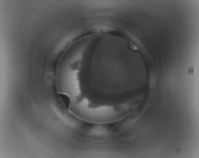 X0000114660451200910201534