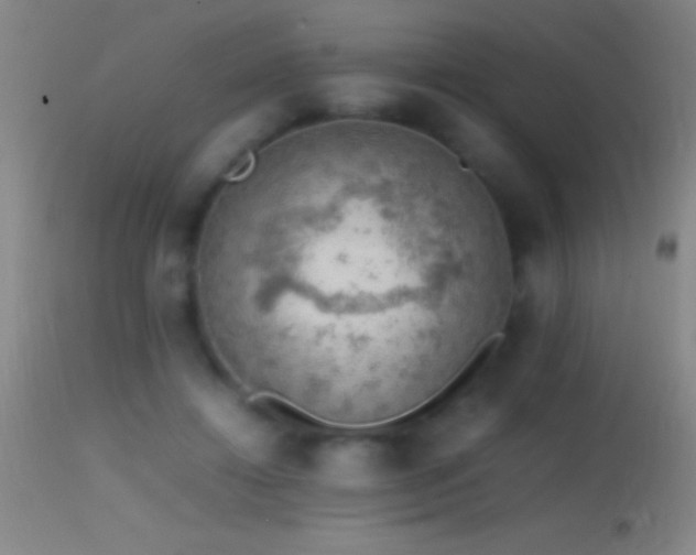 X0000114660452200910201534