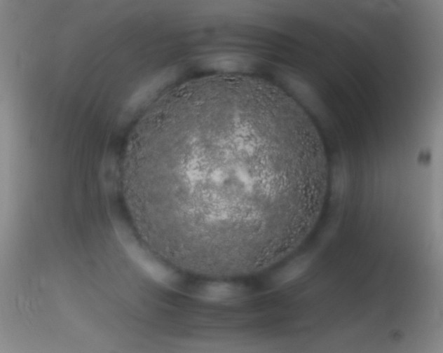 X0000114660453200910201534