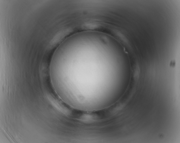 X0000114660455200910201534