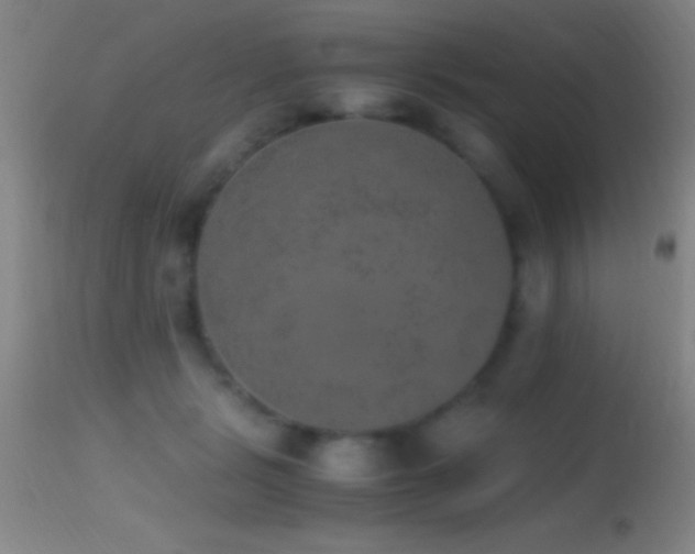 X0000114660461200910201534