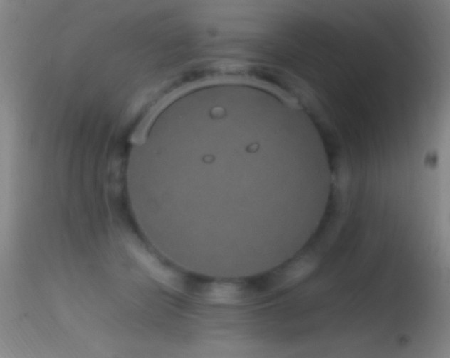 X0000114660462200910201534