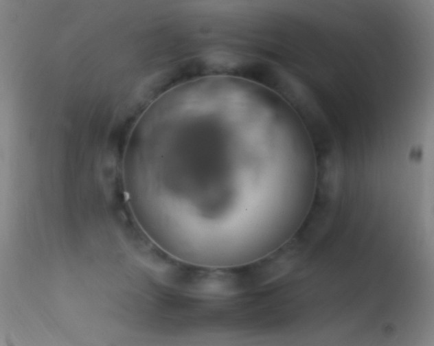 X0000114660463200910201534