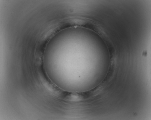 X0000114660464200910201534