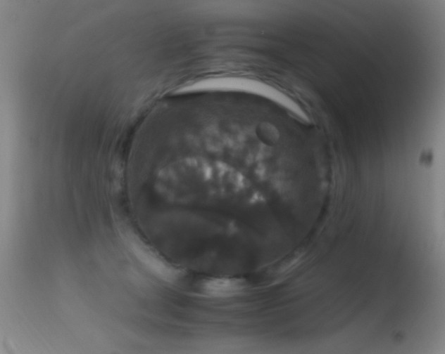 X0000114660465200910201534