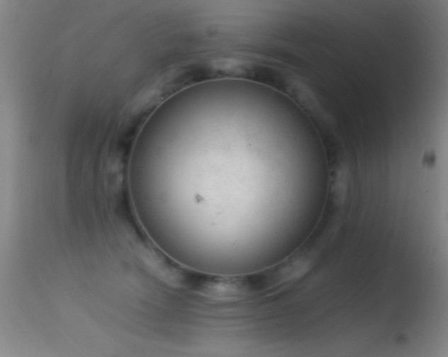 X0000114660466200910201534