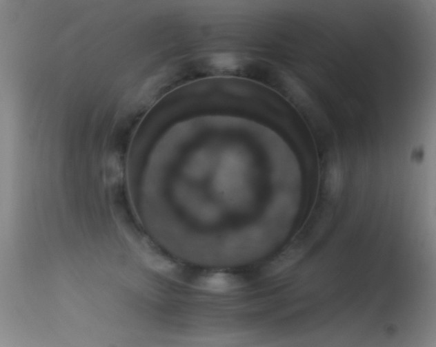 X0000114660467200910201534