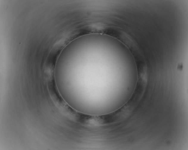 X0000114660468200910201534