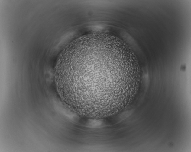 X0000114660469200910201534