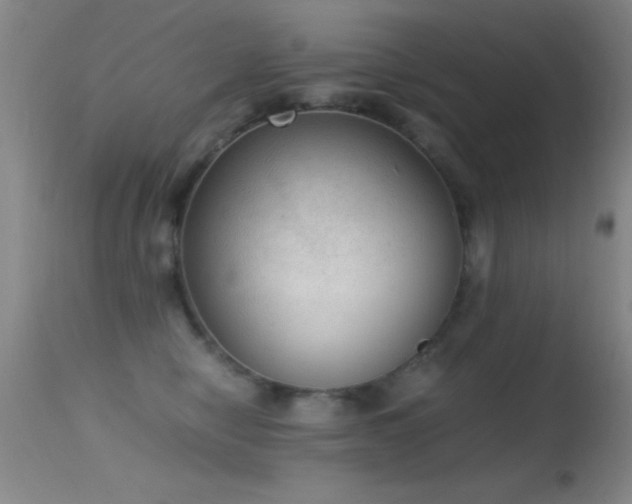 X0000114660470200910201534