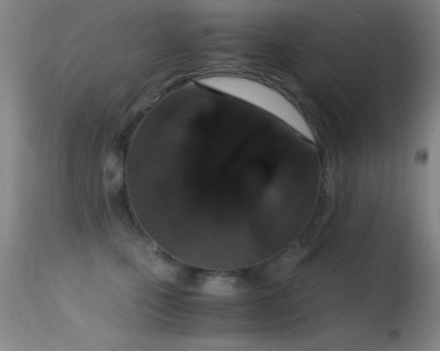 X0000114660471200910201534