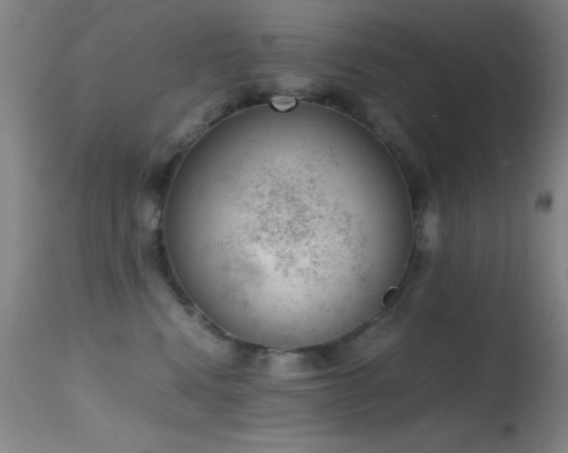 X0000114660472200910201534