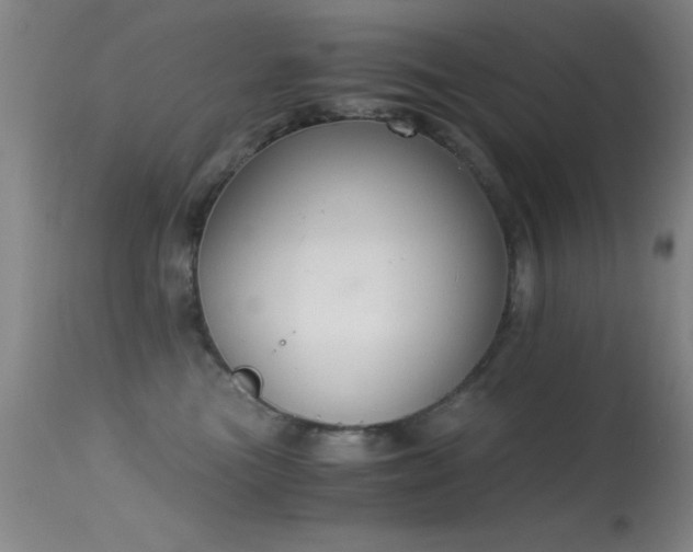 X0000114660473200910201534