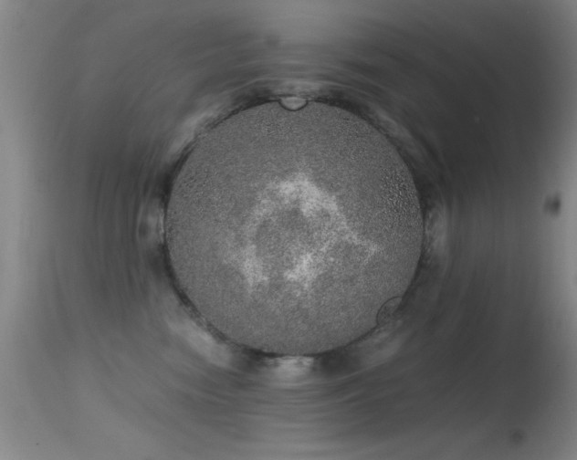 X0000114660474200910201534