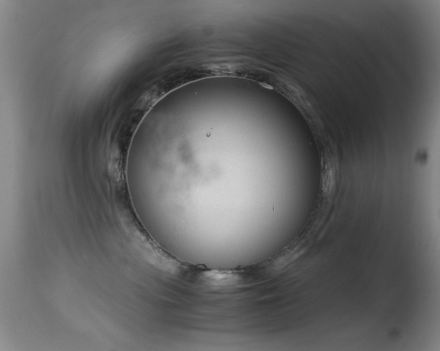 X0000114660477200910201534