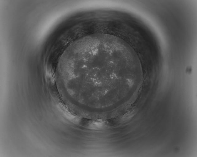 X0000114660479200910201534