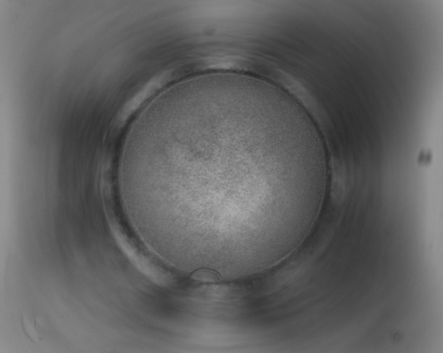 X0000114660482200910201534