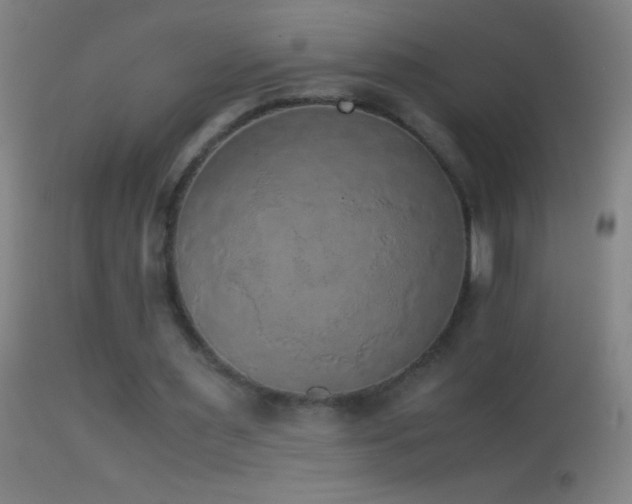 X0000114660483200910201534