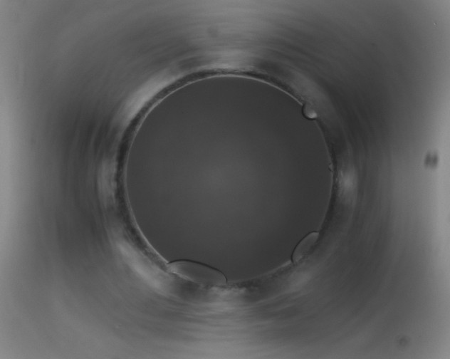 X0000114660484200910201534