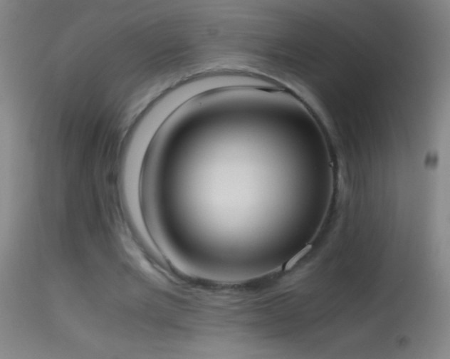 X0000114660485200910201534