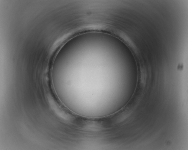 X0000114660486200910201534