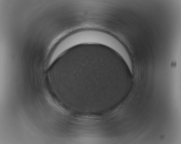 X0000114660488200910201534