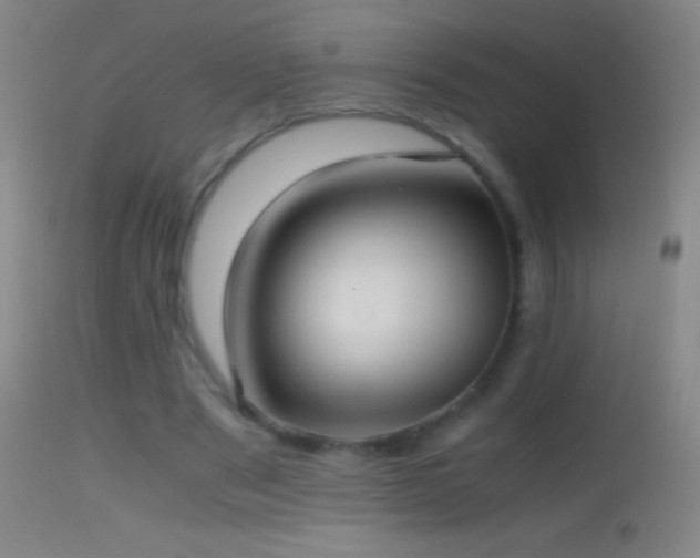 X0000114660489200910201534