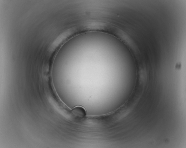 X0000114660490200910201534