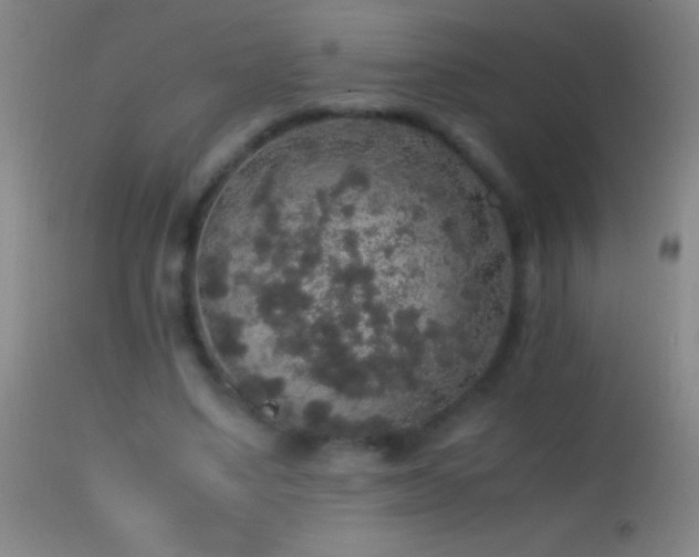 X0000114660491200910201534