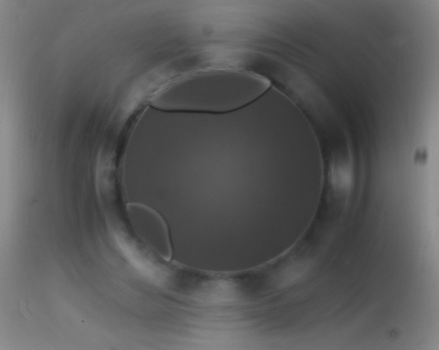 X0000114660492200910201534