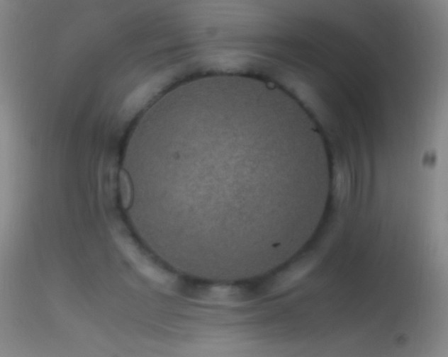 X0000114660493200910201534