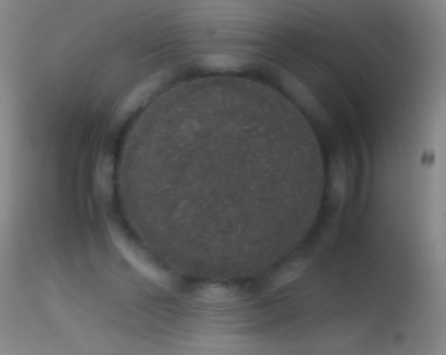 X0000114660494200910201534