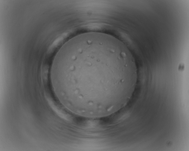 X0000114660495200910201534