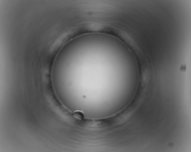 X0000114660497200910201534