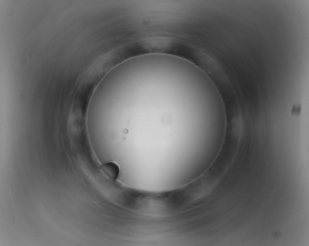 X0000114660498200910201534