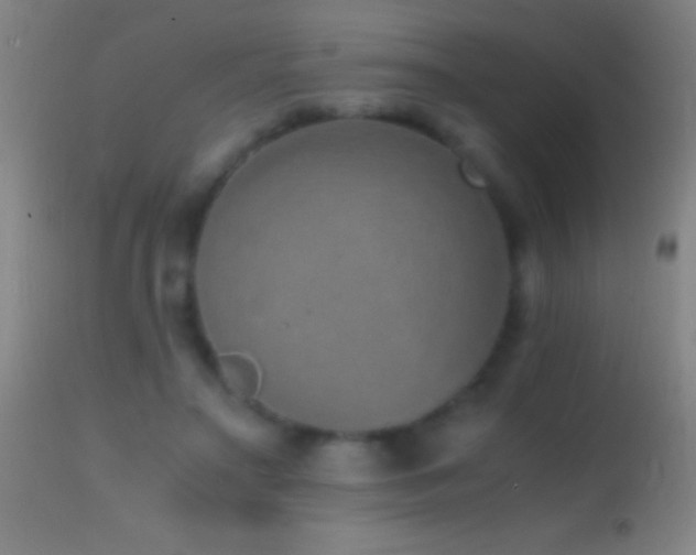 X0000114660499200910201534