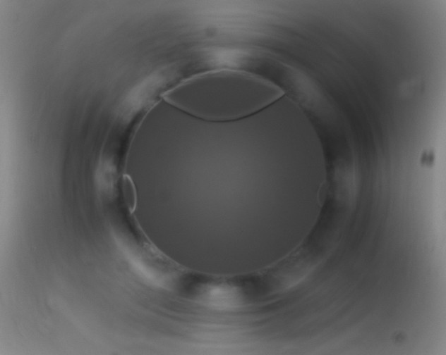 X0000114660500200910201534