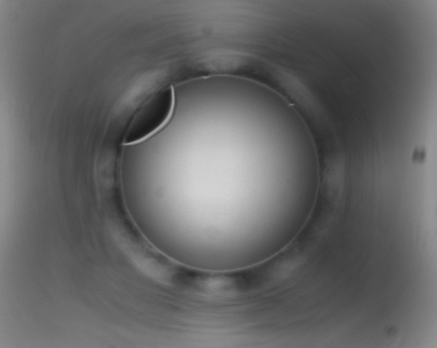 X0000114660501200910201534