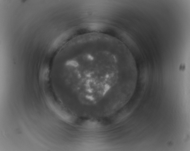 X0000114660502200910201534