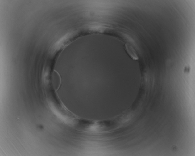 X0000114660504200910201534