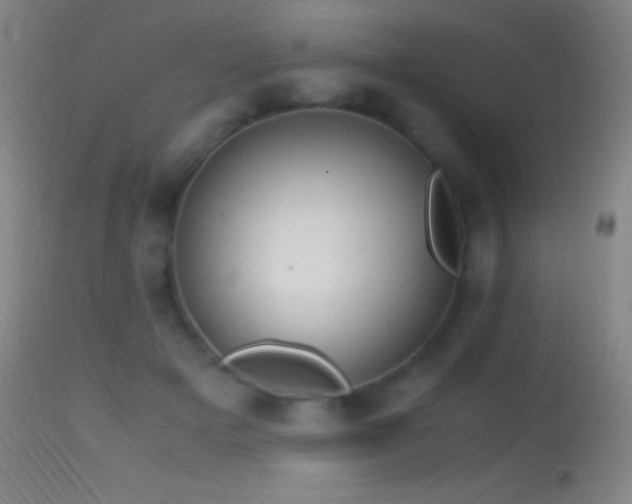 X0000114660505200910201534