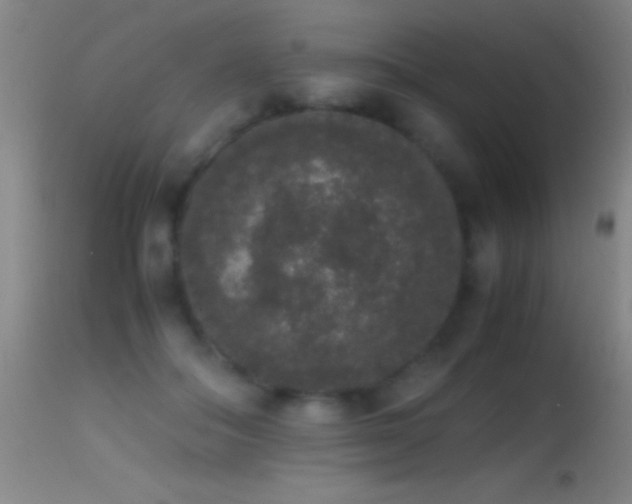 X0000114660506200910201533