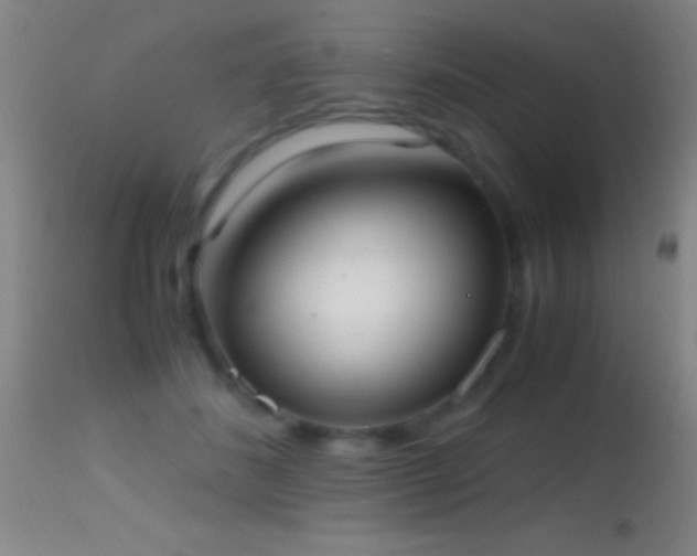 X0000114660508200910201533