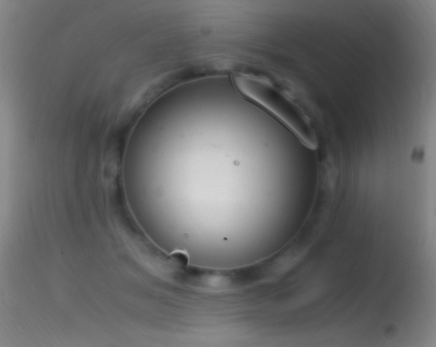 X0000114660509200910201533