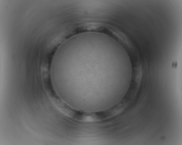 X0000114660510200910201533