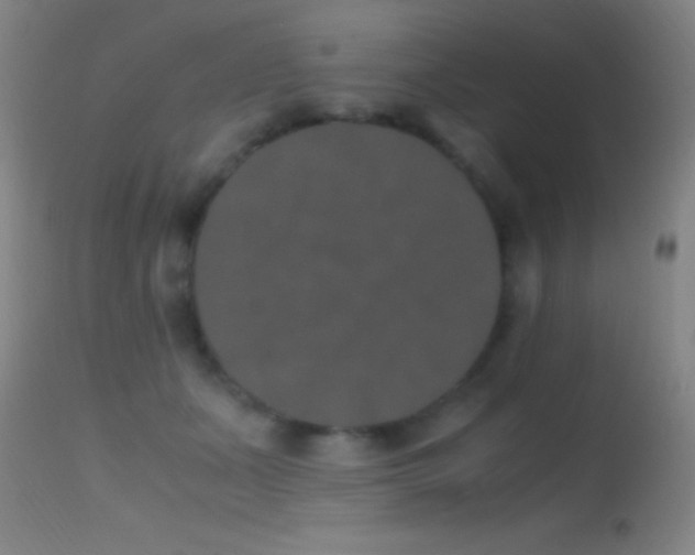 X0000114660511200910201533