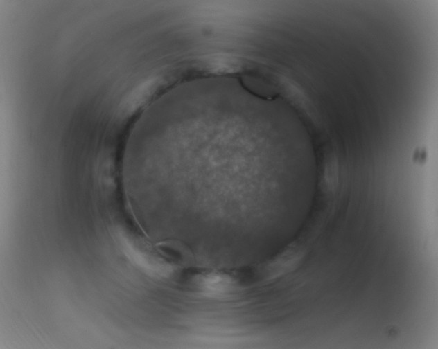 X0000114660512200910201533