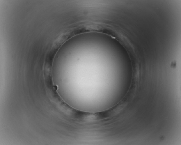 X0000114660513200910201533