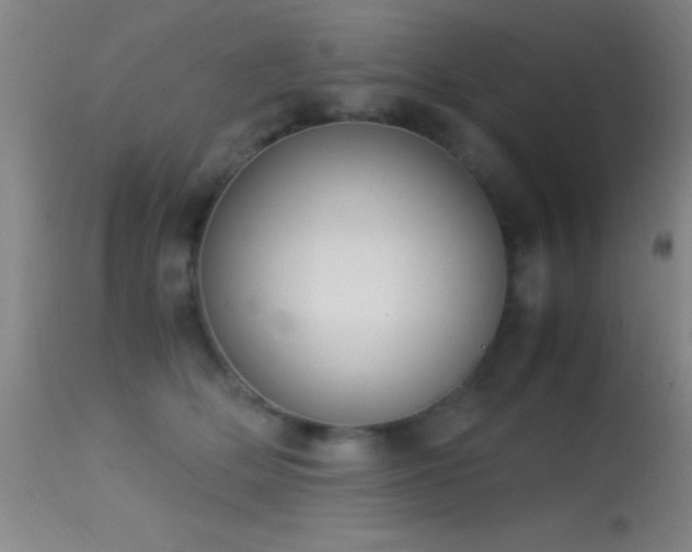 X0000114660514200910201533